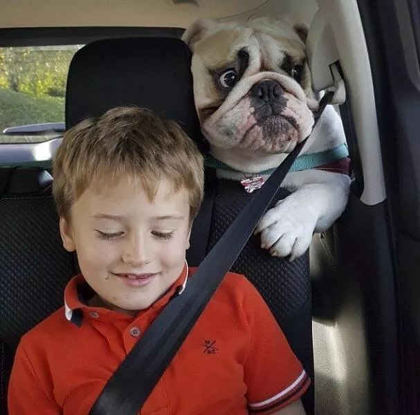 Picdump 774 - #50 