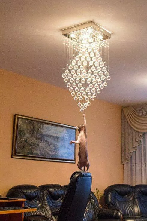Picdump 774 - #7 