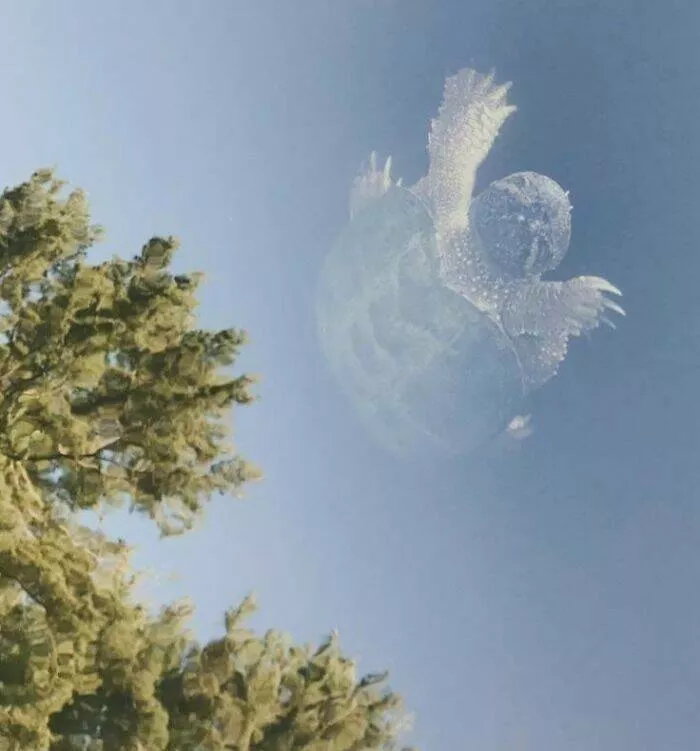 Double take delights moments that require a second glance - #18 A Moon-Sized Turtle Orbiting The Earth, Or A Large Turtle In A Crystal-Clear Lake