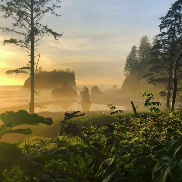 Double take delights moments that require a second glance - #7 The Area I Used To Work In Washington Looks Like Jurassic Park