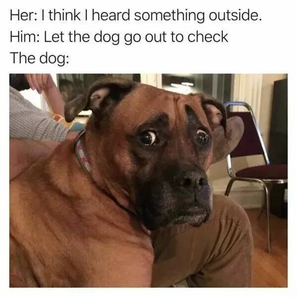 Guaranteed laughter the playful antics of these animals - #22 