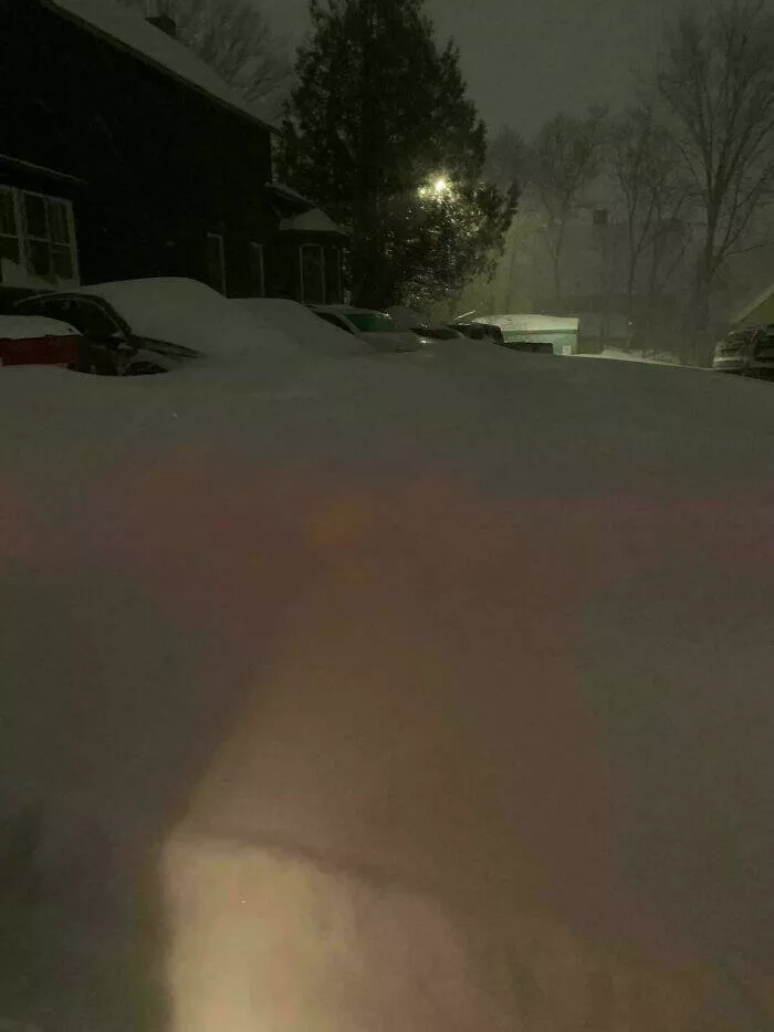 Gel hivernal les canadiens partagent des instantanes glaciaux de lhiver - #11 On dirait que je ne vais nulle part aujourd'hui