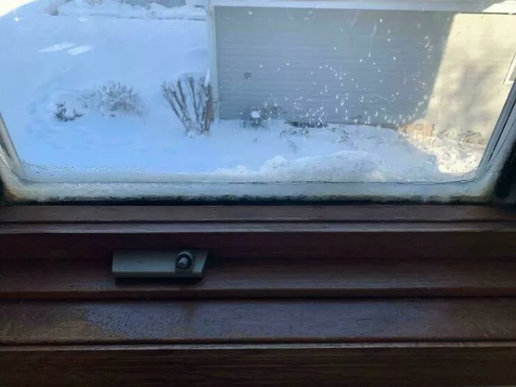 Gel hivernal les canadiens partagent des instantanes glaciaux de lhiver - #25 Il fait tellement froid que l'intérieur de ma fenêtre commence à geler
