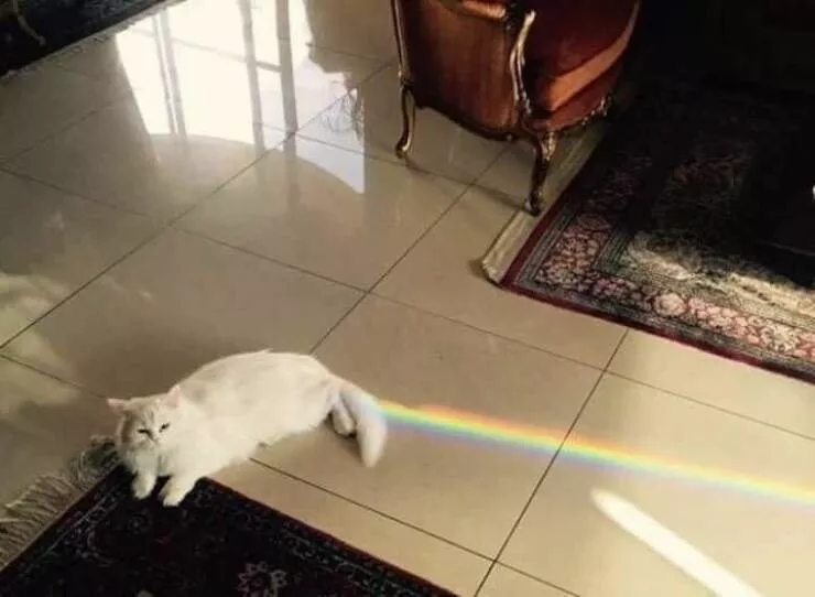 Picdump 775 - #34 