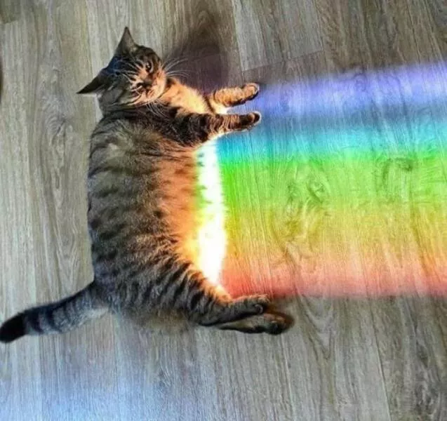 Picdump 775 - #4 