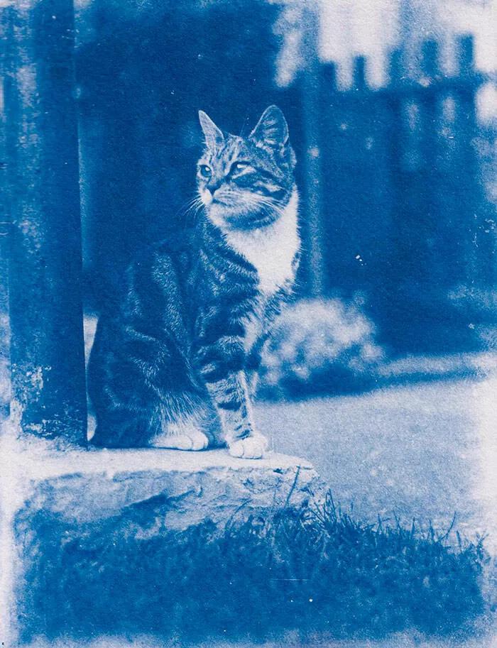 Decouvertes surprenantes a la maison des tresors inattendus qui ont etonne les residents - #1 J'ai restauré une photo vieille de 120 ans que j'ai trouvée dans une capsule temporelle Decouvertes surprenantes a la maison des tresors inattendus qui ont etonne les residents - #1 J'ai restauré une photo vieille de 120 ans que j'ai trouvée dans une capsule temporelle