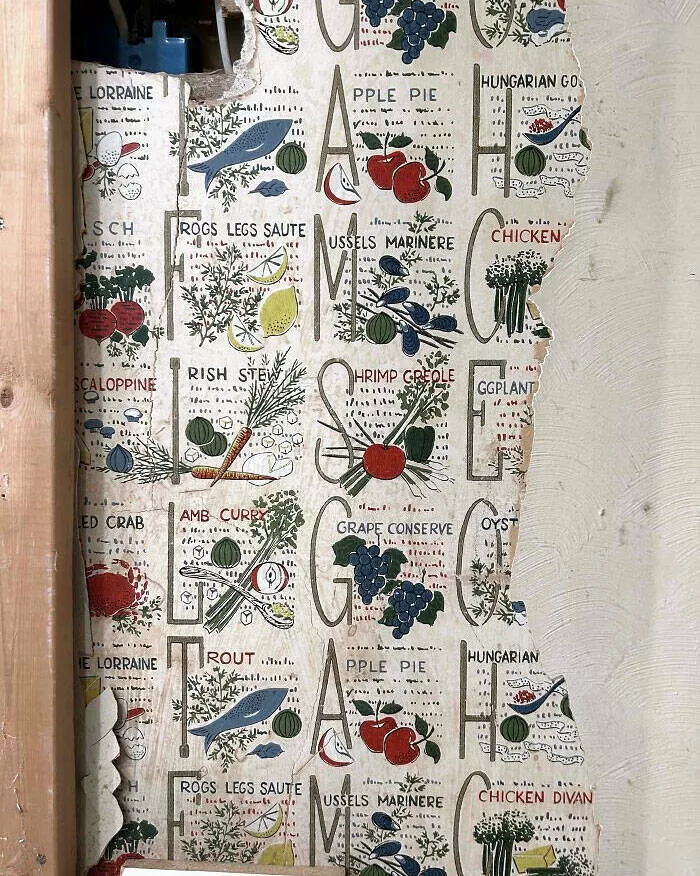 Surprising finds at home unintentional discoveries that stunned residents - #31 Kitchen wallpaper in the 1914 home. I'm redoing the kitchen pantry in my house, and I discovered this old wallpaper that I didn't know was there