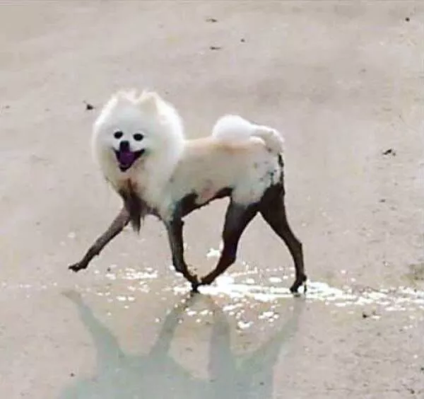 Picdump 777