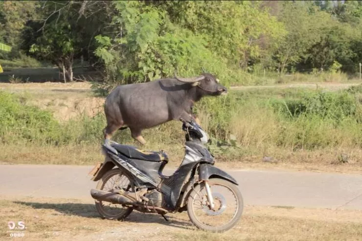 Picdump 777 - #7 
