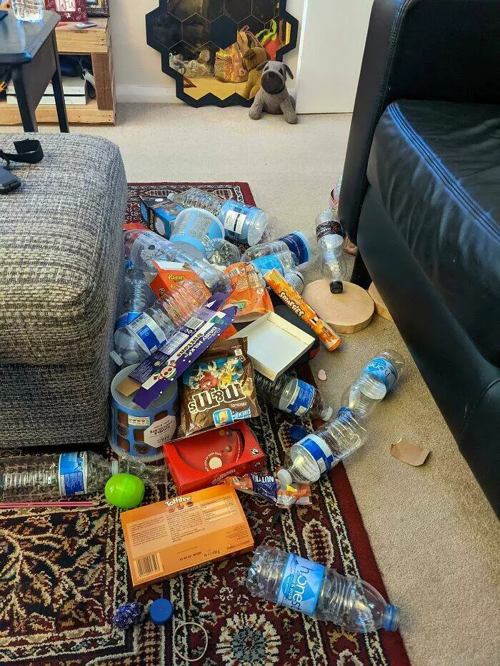 Frustration unleashed partners hilariously incompetent moments go viral - #17 Unearthed My Husband's Collection of Empty Wrappers