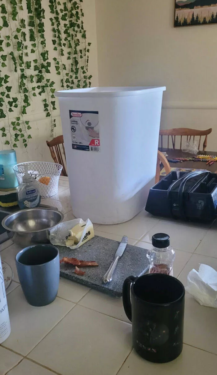 Frustration unleashed partners hilariously incompetent moments go viral - #33 Instead of Putting a Bag in the Trash, My Husband Puts It on the Counter for Me