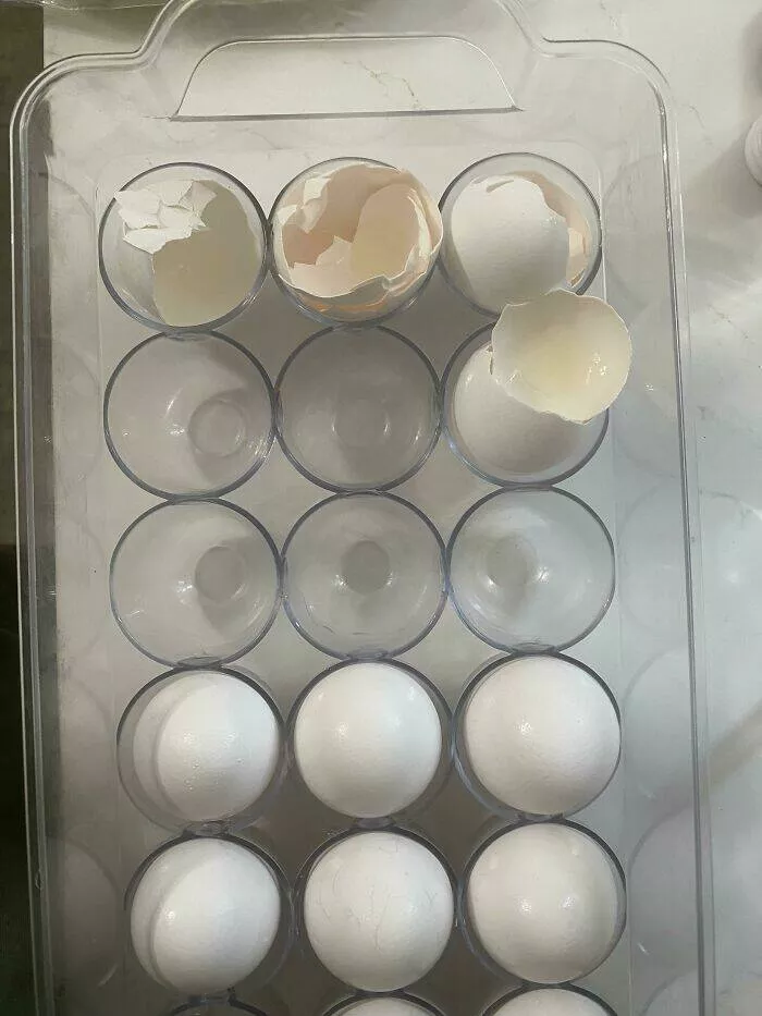 Frustration unleashed partners hilariously incompetent moments go viral - #46 My Husband Always Puts the Empty Nasty Egg Shells Back in the Egg Holder Instead of in the Garbage