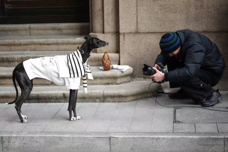 Picdump 778 - #10 