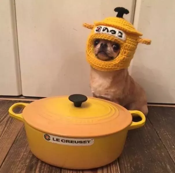 Picdump 778 - #37 