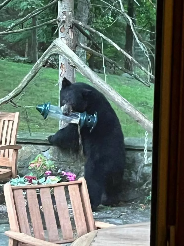 Picdump 779 - #17 