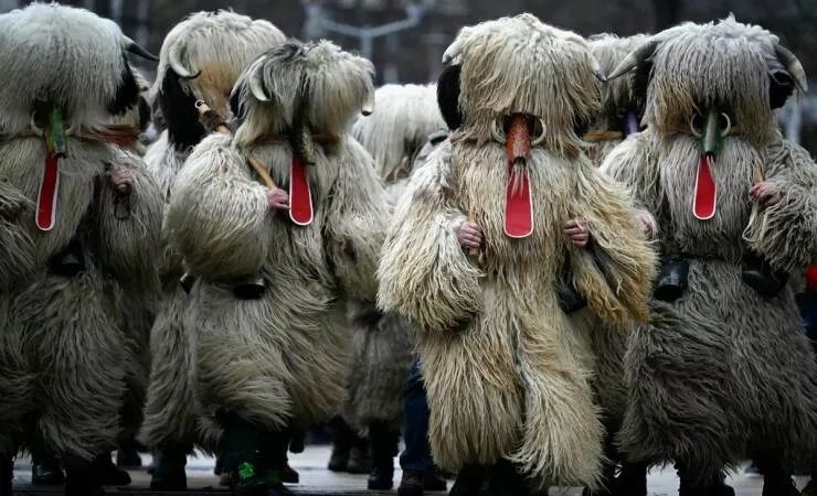 Picdump 779