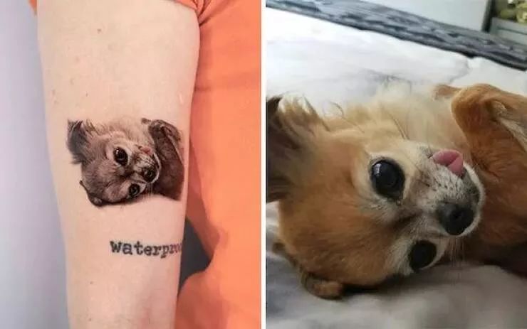 Picdump 779 - #32 