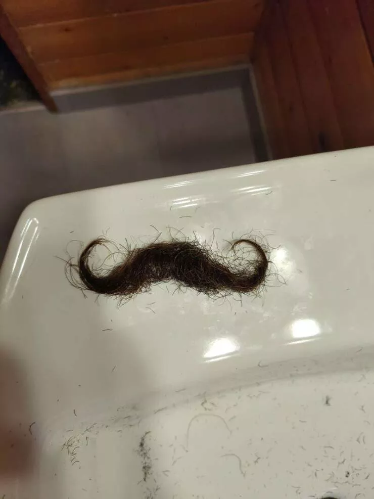 Visual marvels explore a collection of truly fascinating pictures - #41 Shaved clean off mustache appearance