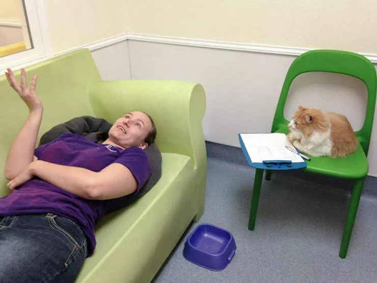 Queens of comedy partners in laughter hilarious girlfriends and wives - #11 Girlfriend Said It Was Therapeutic Working at the Humane Society Queens of comedy partners in laughter hilarious girlfriends and wives - #11 Girlfriend Said It Was Therapeutic Working at the Humane Society