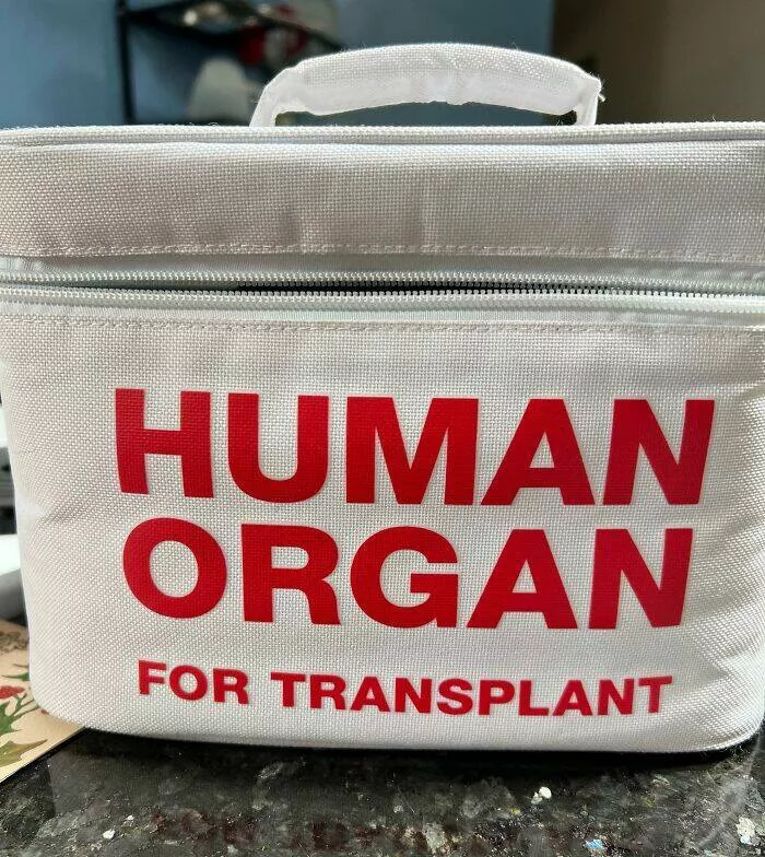 Queens of comedy partners in laughter hilarious girlfriends and wives - #14 My Wife Is a Nurse, and This Is Her Lunch Box Queens of comedy partners in laughter hilarious girlfriends and wives - #14 My Wife Is a Nurse, and This Is Her Lunch Box