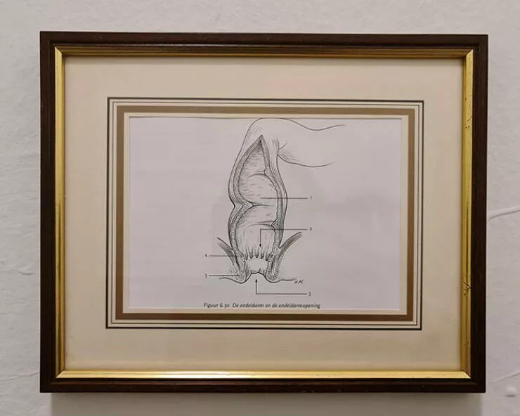 Queens of comedy partners in laughter hilarious girlfriends and wives - #17 My Boyfriend Asked Me to Find Art to Hang Above the Toilet Queens of comedy partners in laughter hilarious girlfriends and wives - #17 My Boyfriend Asked Me to Find Art to Hang Above the Toilet