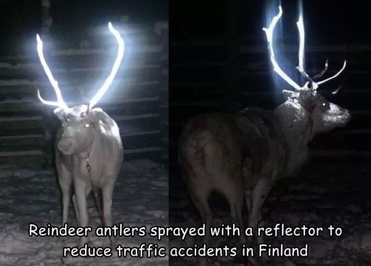 Picdump 780 - #11 