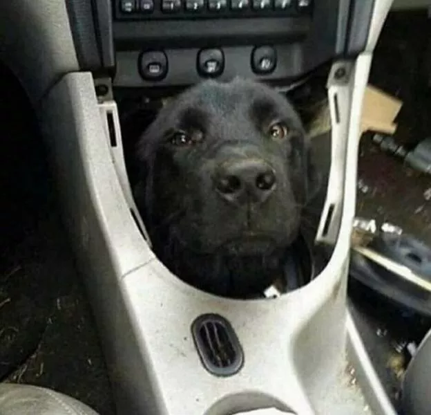 Picdump 780 - #31 