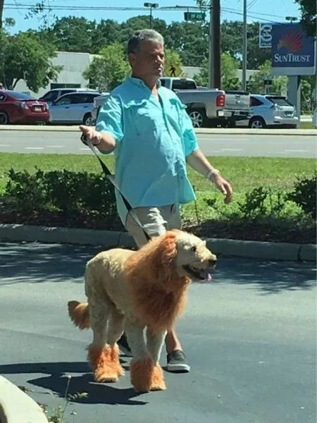 Picdump 105 - #10 