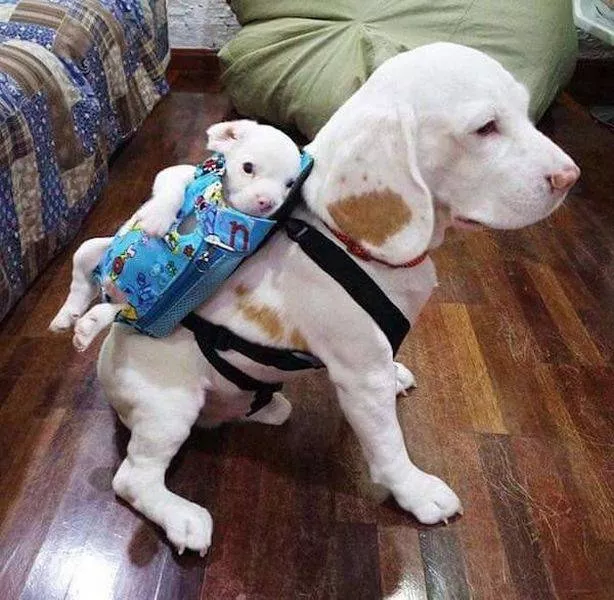 Picdump 105 - #15 