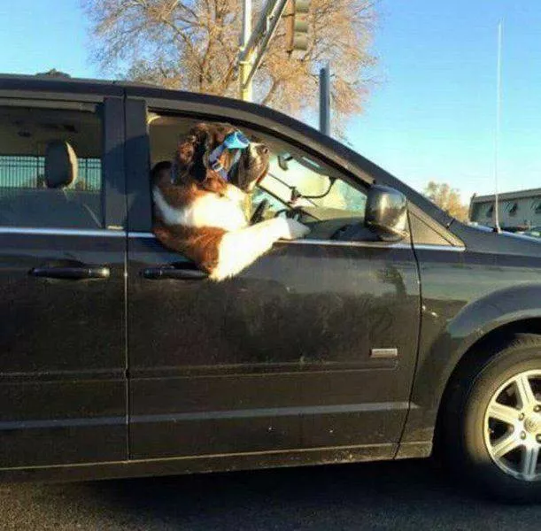 Picdump 105 - #16 