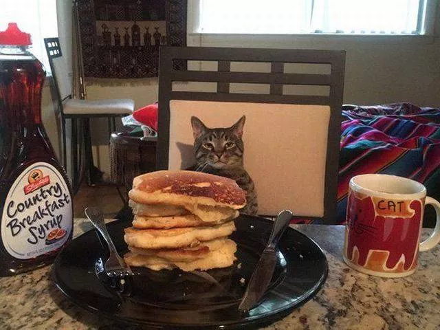 Picdump 105 - #24 