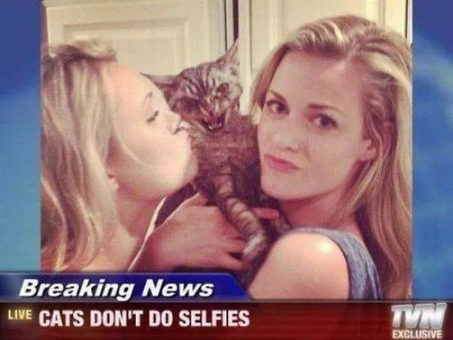 Picdump 105 - #27 