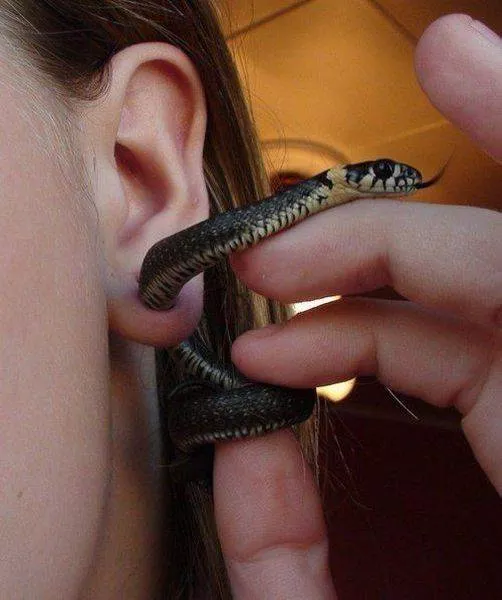 Picdump 105 - #40 