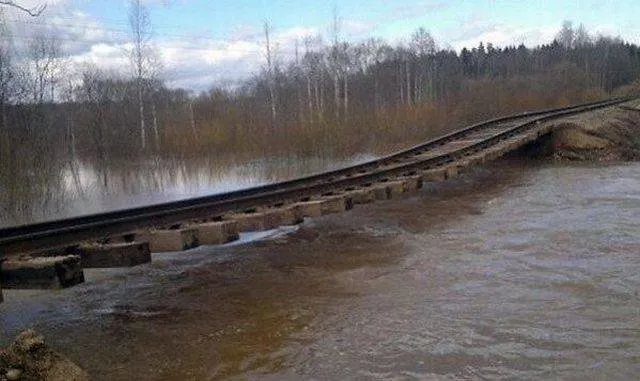 Picdump 105 - #52 