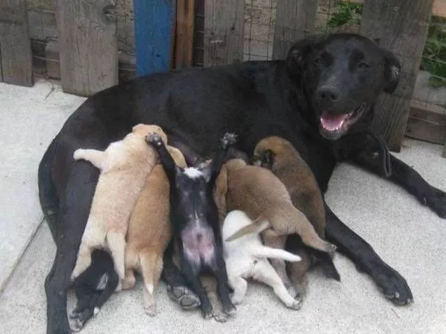 Picdump 105 - #62 