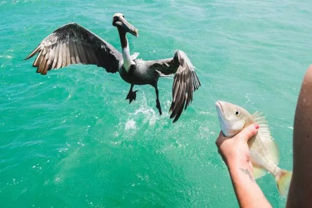 Picdump 105 - #7 