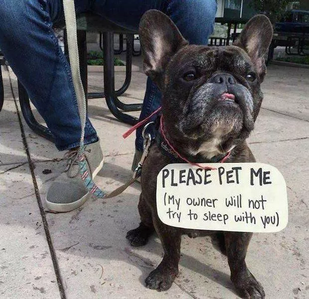 Picdump 105 - #82 