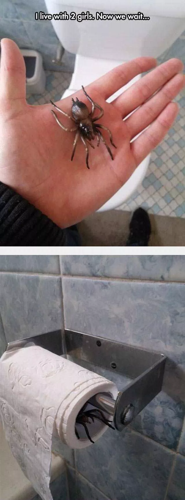 Picdump 105 - #85 