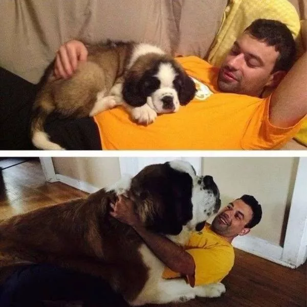 Picdump 105 - #9 
