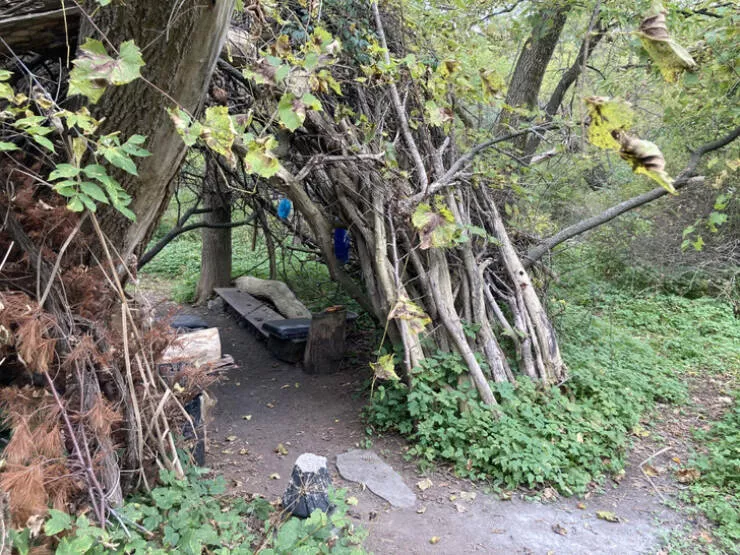 Wonders revealed gaze of discovery - #10 Encountered a homeless man's stick shelter in the woods.