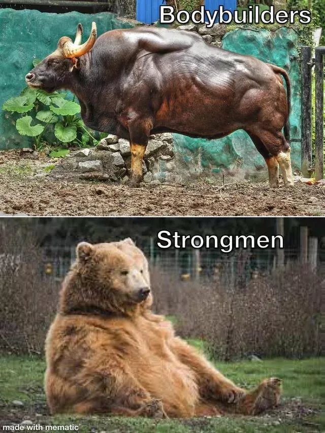 Picdump 782 - #2 