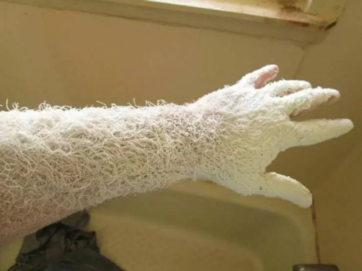 Enigmatic visuals unsettling images for a haunting experience - #1 Sanding Wood For An Hour Results in This Monstrous-Looking Arm.