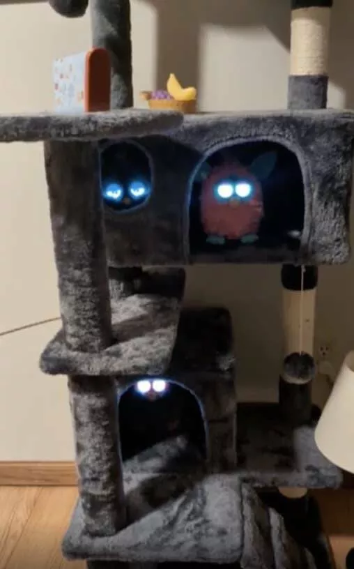 Enigmatic visuals unsettling images for a haunting experience - #26 My niece's Furbies reside in this cat tree. Enigmatic visuals unsettling images for a haunting experience - #26 My niece's Furbies reside in this cat tree.