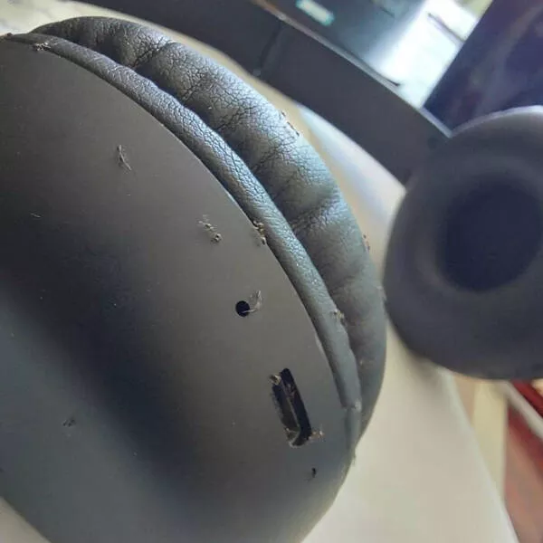 Enigmatic visuals unsettling images for a haunting experience - #3 My Headphones Suddenly Stopped Working; They Were Infested with Ants.