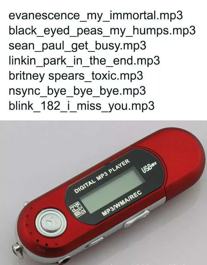 Digital time capsule 2000s spectrum reflected in memes - #1 