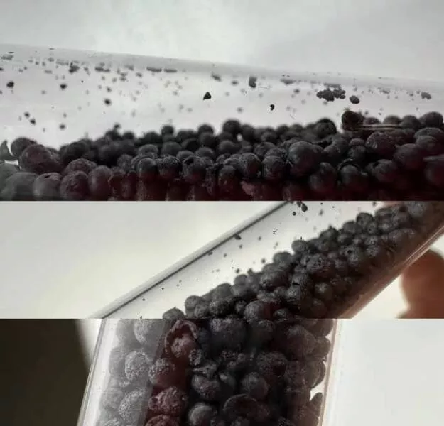 Forbidden indulgences tempting visual delights
