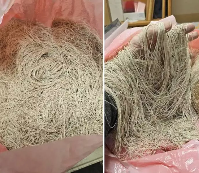 Forbidden indulgences tempting visual delights - #2 These rubber bands are not being humorous in their attempt to impersonate pasta:
