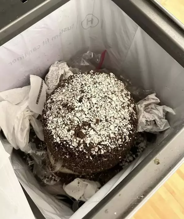 Forbidden indulgences tempting visual delights - #5 This dirt and perlite mix rightfully belongs in the trash, but wrongly resembles a cake:
