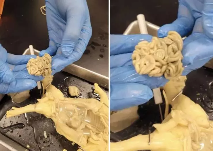 Forbidden indulgences tempting visual delights - #9 And this is 100% not ramen: