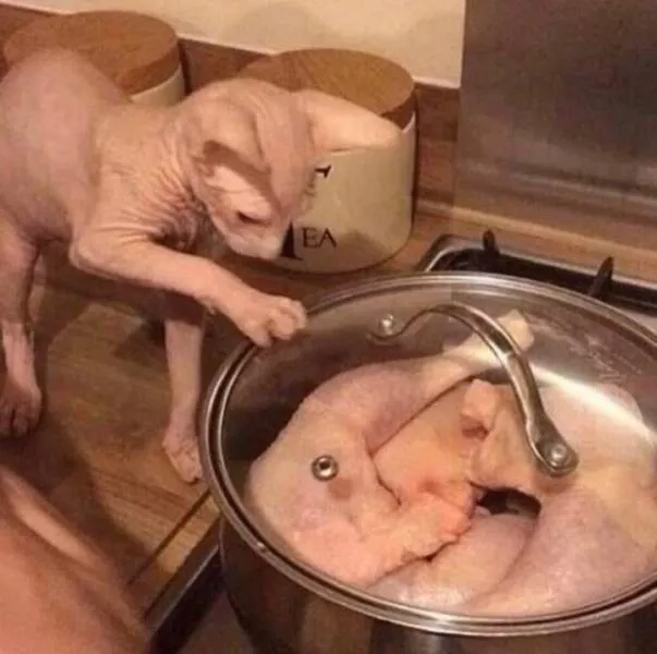 Picdump 783 - #17 
